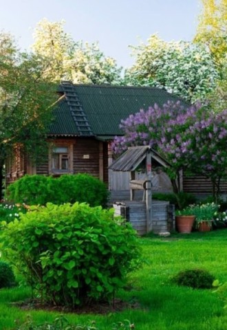 Самый красивый дачный сад в россии (64 фото)