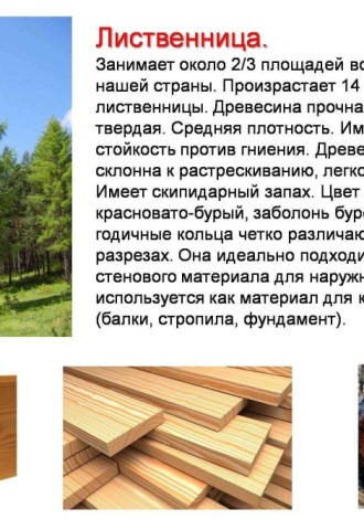 Применение древесины ольхи (75 фото)