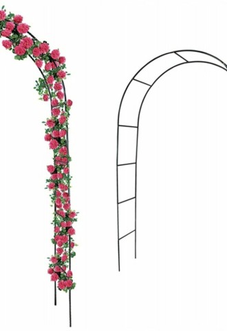 Английская арка с белой шапочкой (66 фото)