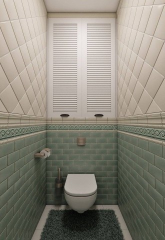 Варианты дизайна туалетов (61 фото)