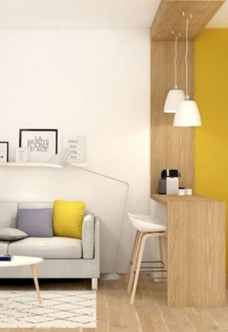 Интерьер однокомнатной квартиры с диваном (69 фото)