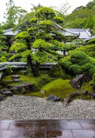 Японский сад энси (66 фото)