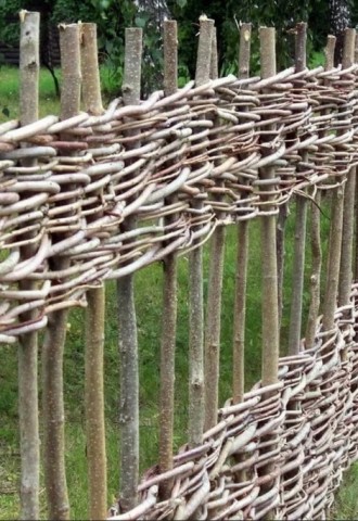 Забор из лозы своими руками на даче (71 фото)