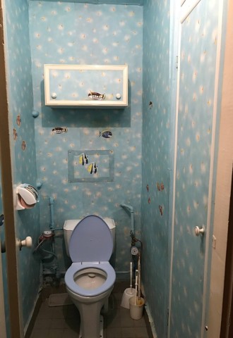 Туалета в квартире после ремонта (66 фото)