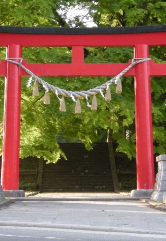 Японский сад энси находка (69 фото)