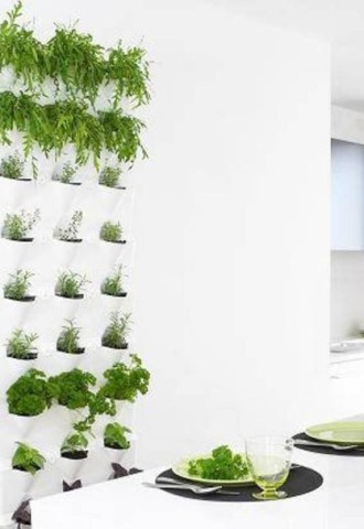 Зеленая стена из растений на кухне (66 фото)