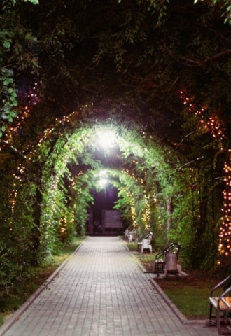 Сад цветов и зеленая арка (62 фото)