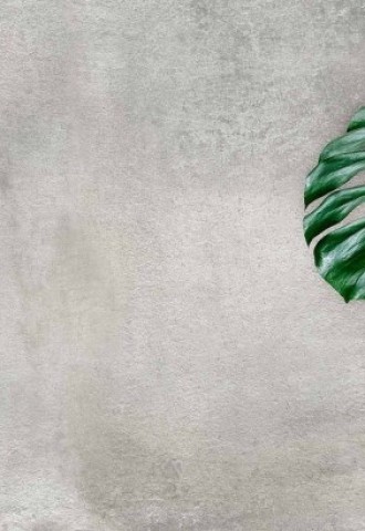Фотообои листья пальмы в интерьере (82 фото)