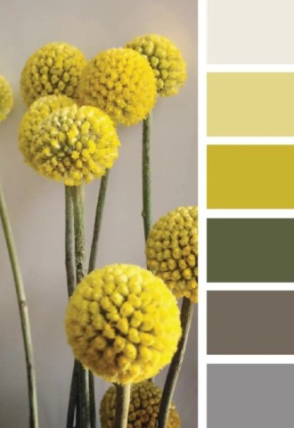 Желто оливковый цвет в интерьере с чем сочетается (98 фото)