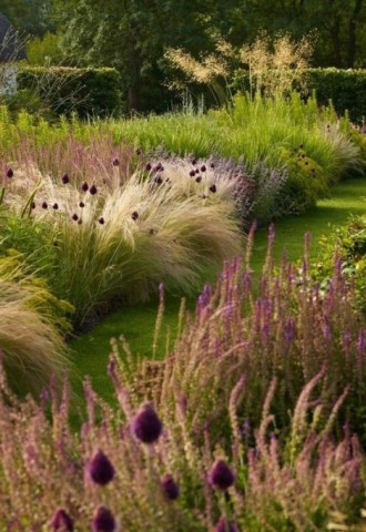 Злаковые растения для сада в ландшафтном дизайне (64 фото)