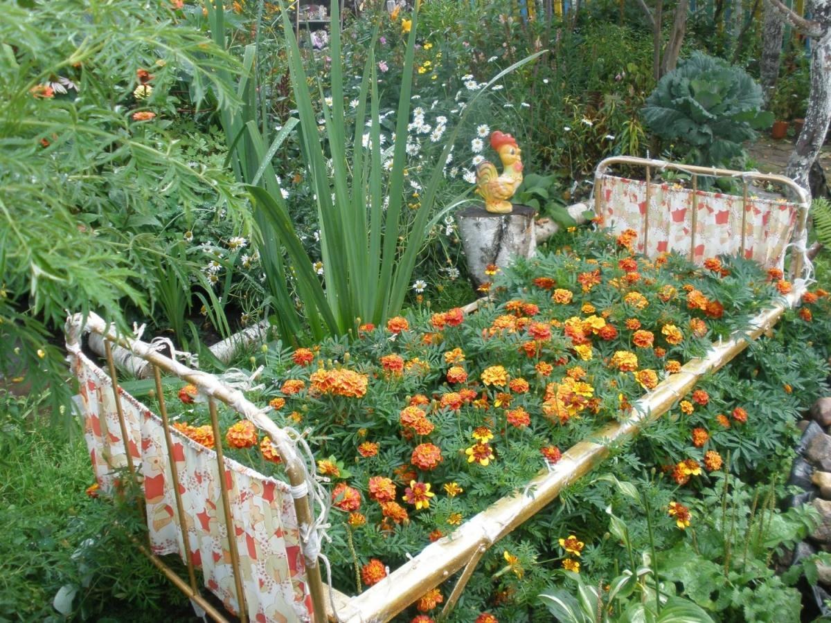 Моя любимая дача,сад,огород. | ВКонтакте