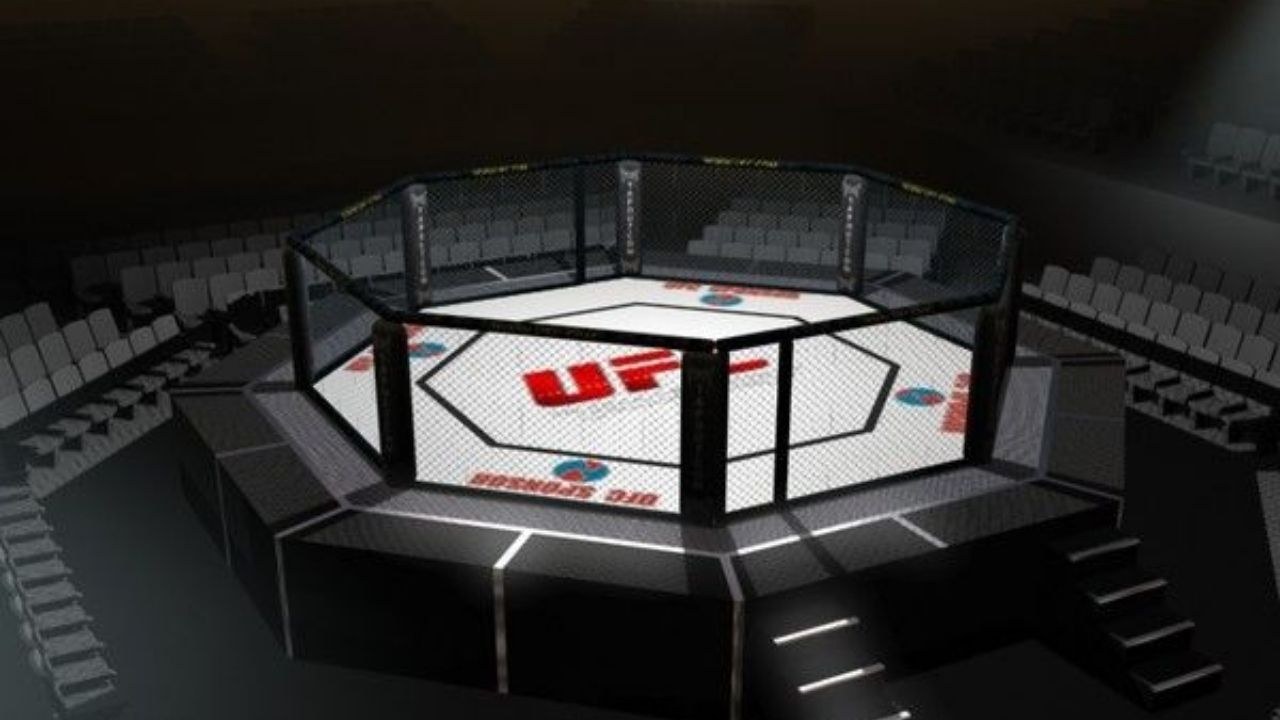 Arena 3.0. UFC Арена октагон. Октагон восьмиугольник. Октагон ринг в MMA. Восьмиугольник Octagon.