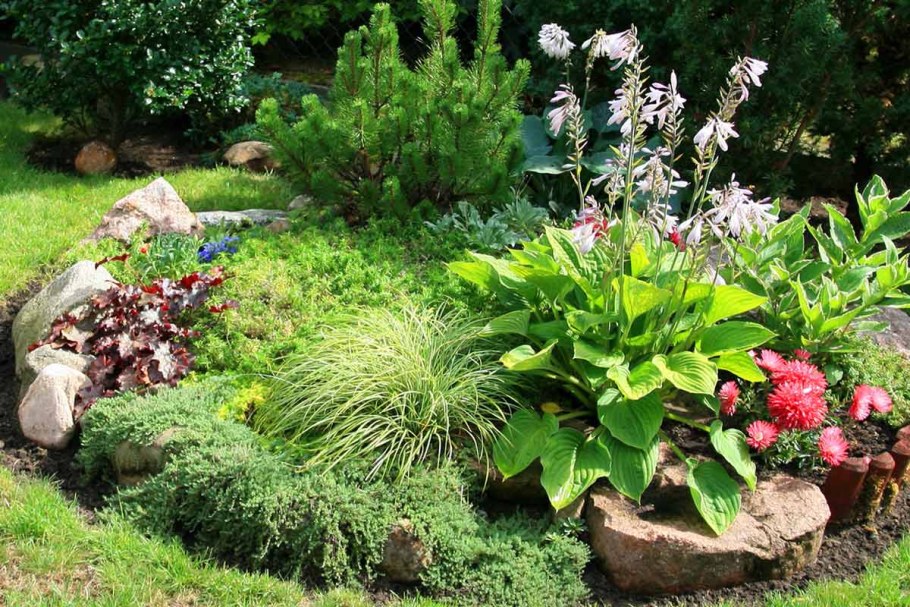 Рутарий туя