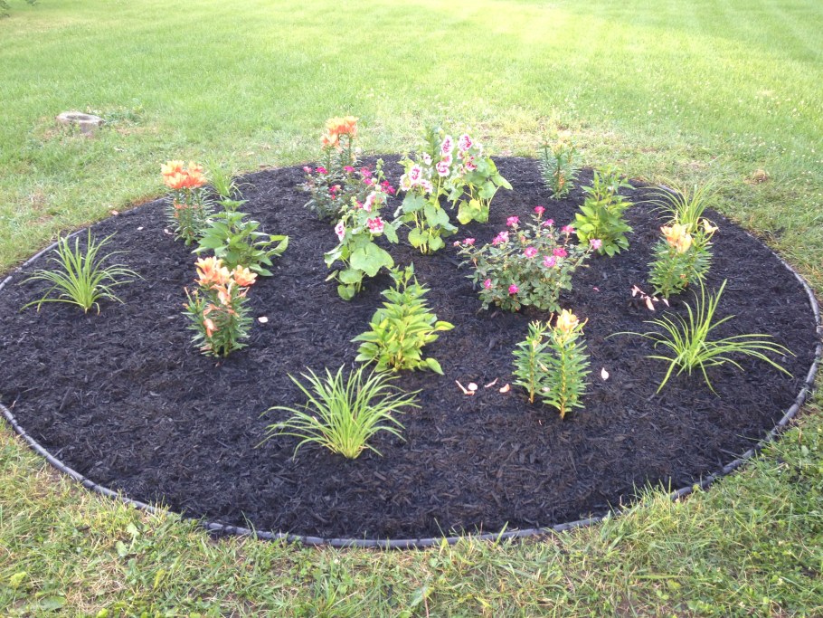 Клумба около приствольного круга