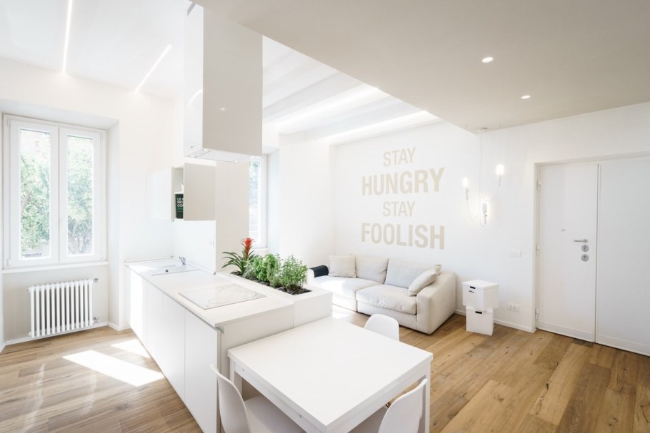 Кухня-гостиная 20 кв.м евродвушка