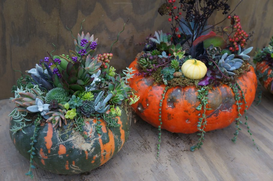 Осенние композиции в интерьере