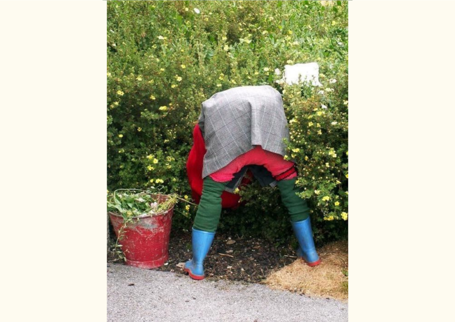 Грядки прикол