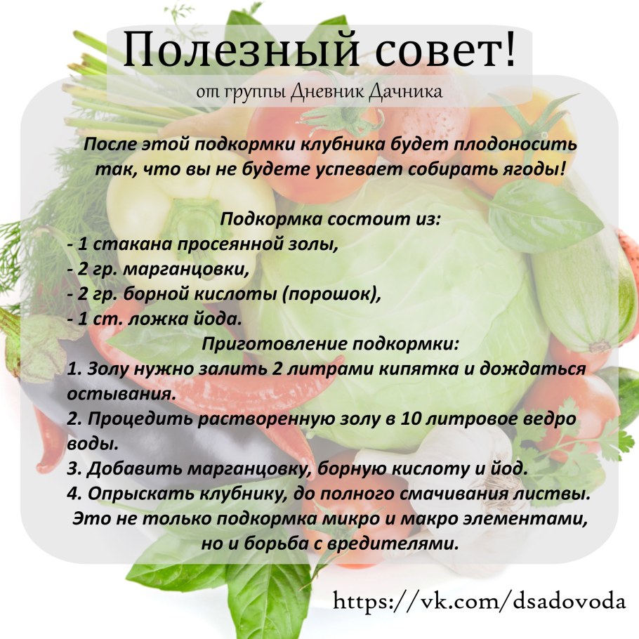 Копают картошку на даче