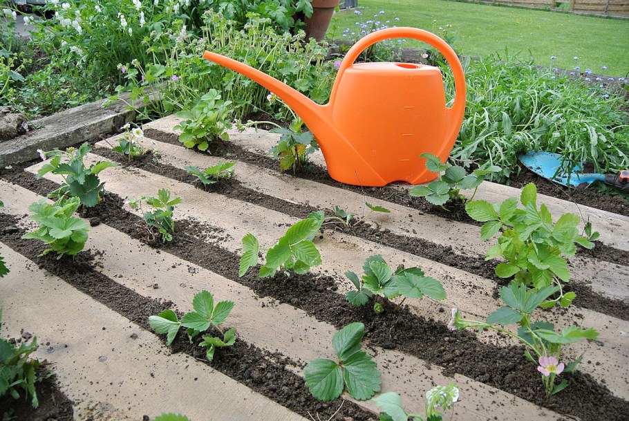 Товары для дома и дачи