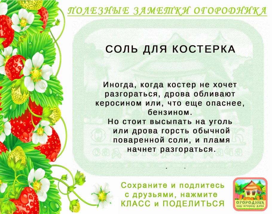 Огород карикатура