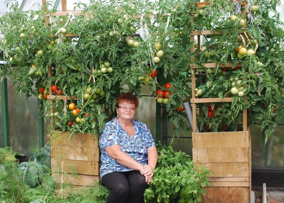 Дачник на огороде