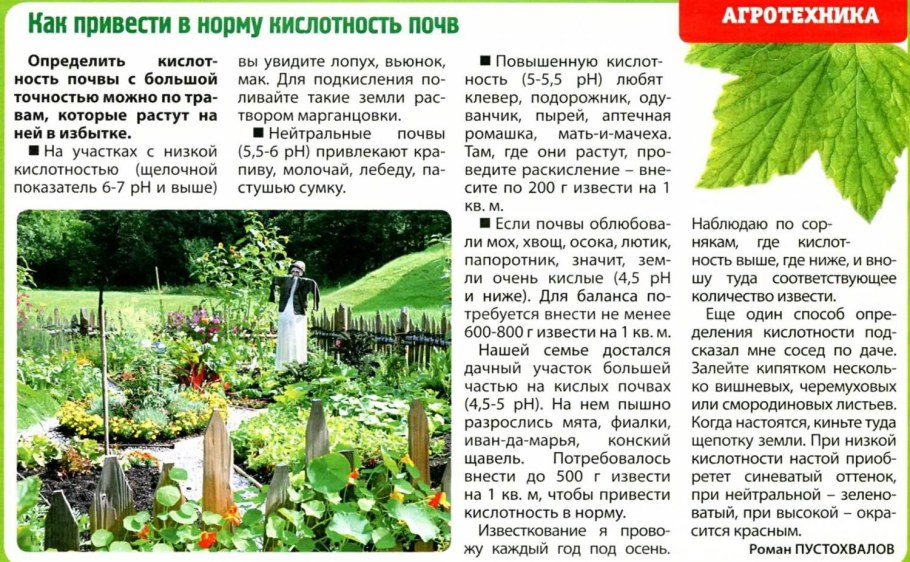 Нина Усатова на даче