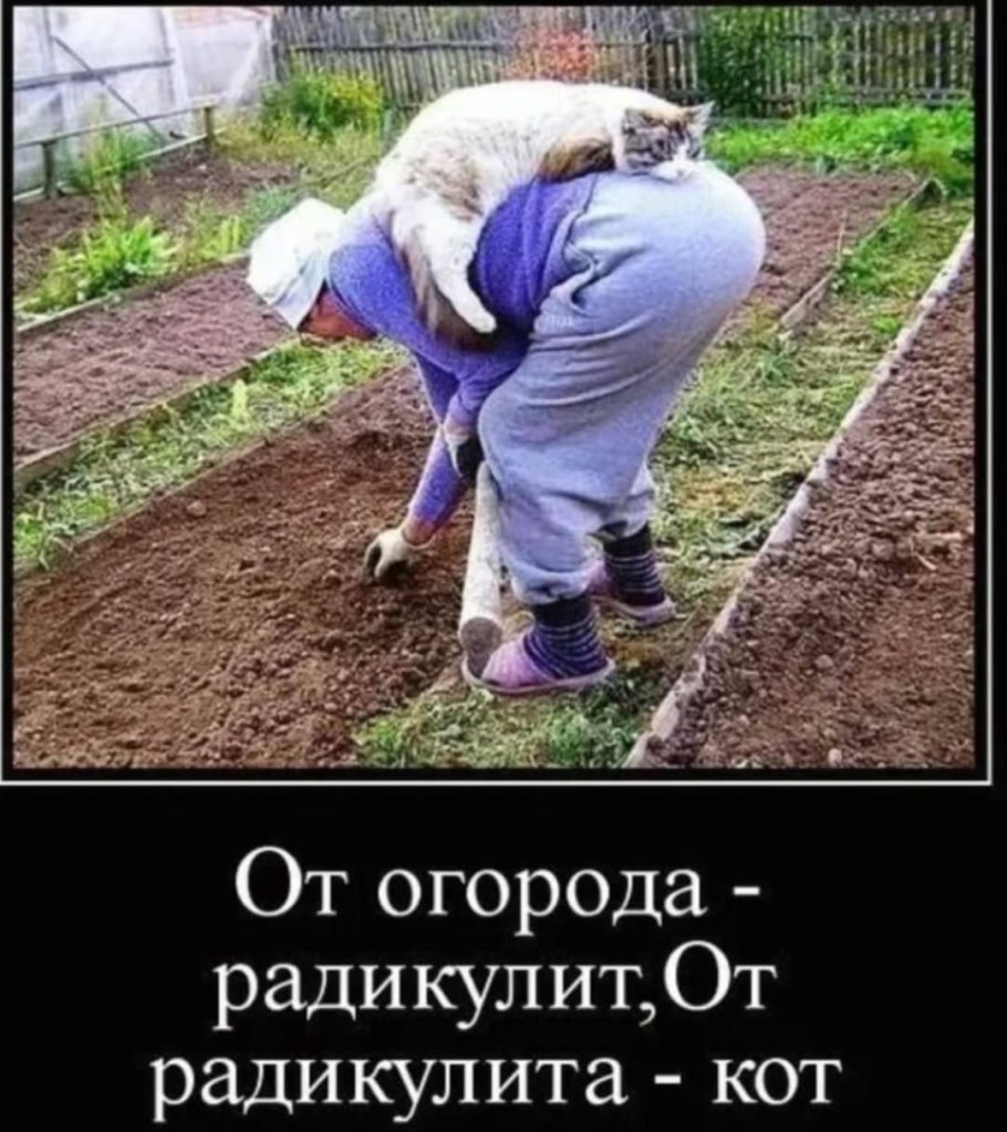 Леонид Баранов цикл русская деревня