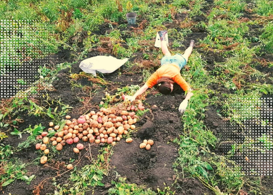 Наташа, грёбаный филолог, копай!