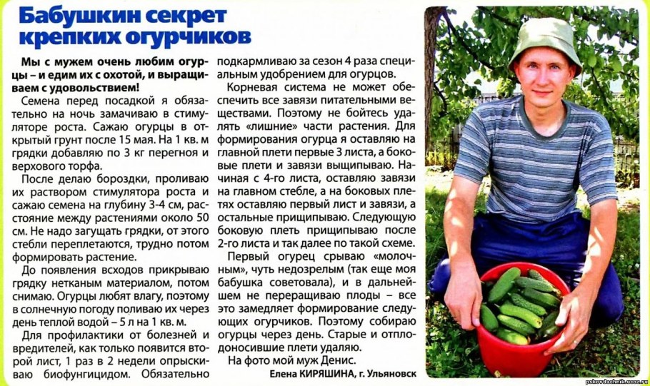 Полоть грядки на даче