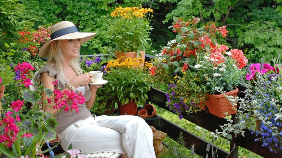 Сад и огород полезные советы