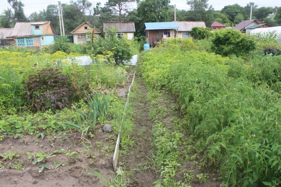 Про огород прикольные