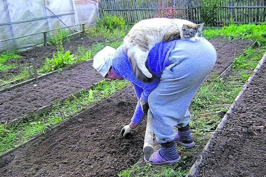 Огород для детей