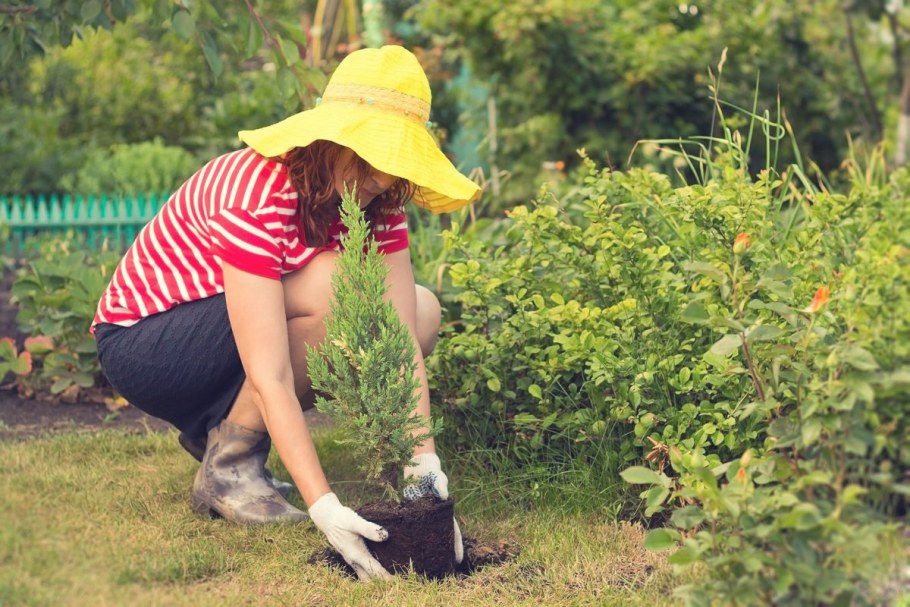 Огороженный огород на участке