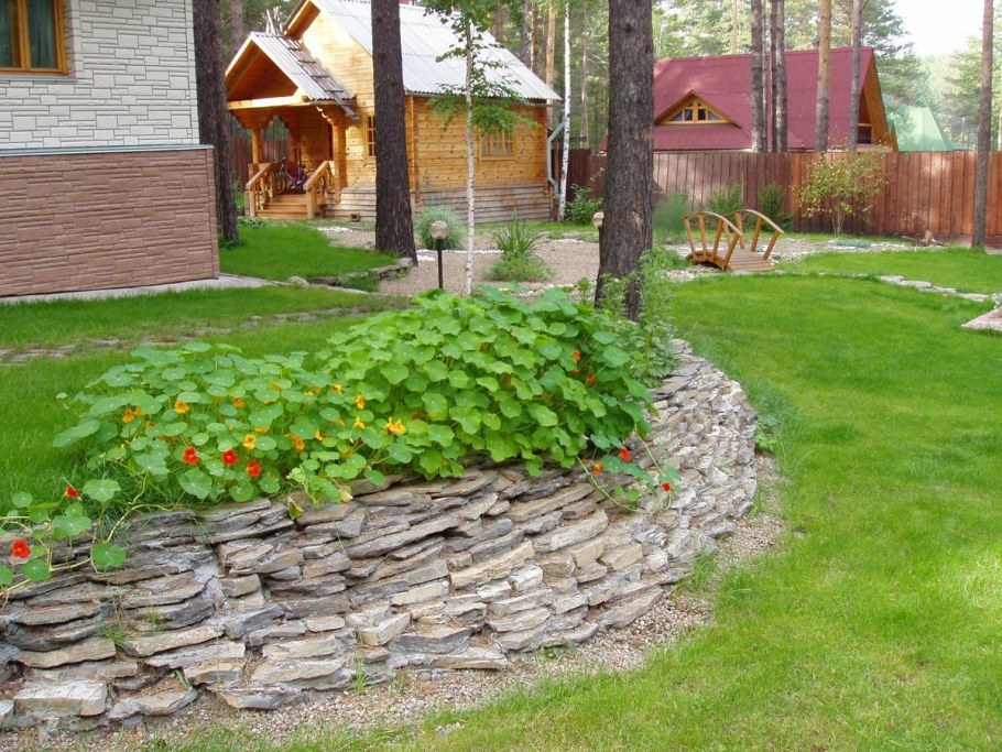 Миксбордер вокруг патио