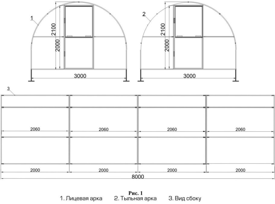 Чертеж теплицы Биония