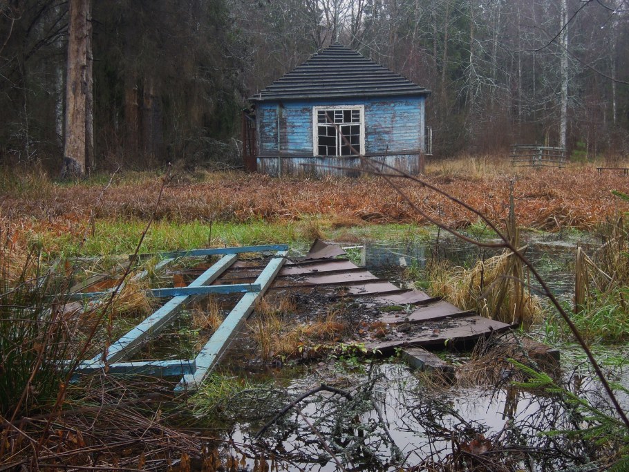 Заброшенное заросшее здание