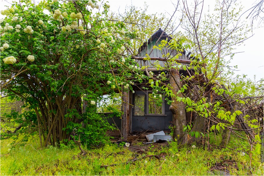 Заброшенные сады Чигорак