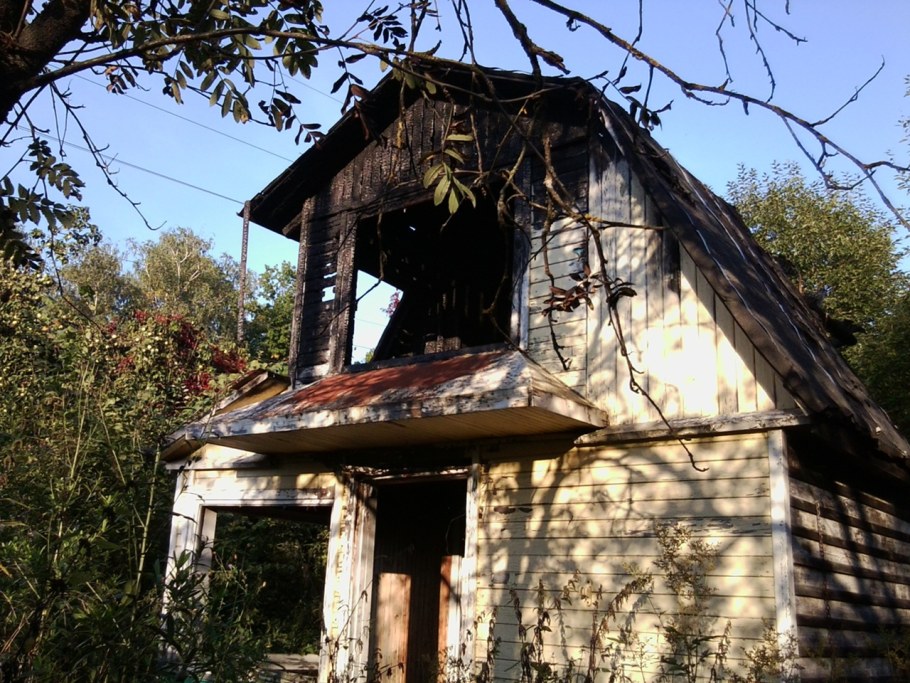 Заброшенный садовый участок