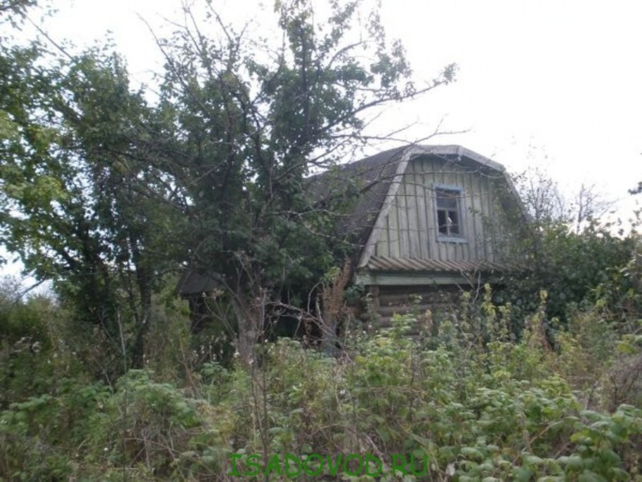 Усадьба Комарово Ленинградской области