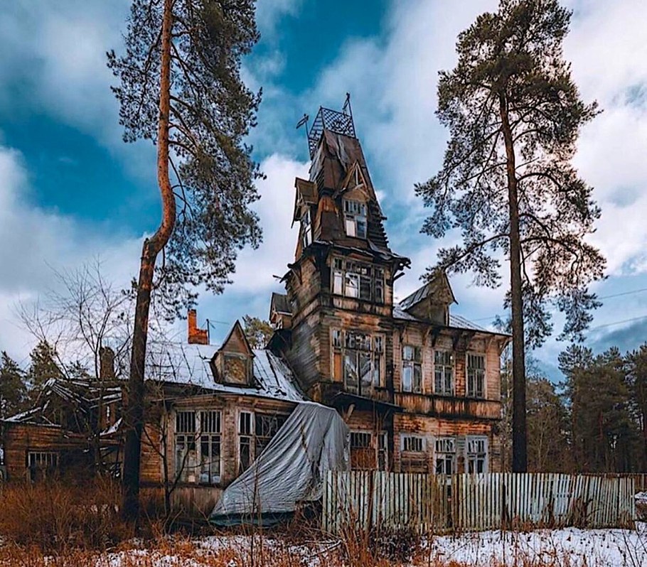 Заросший участок