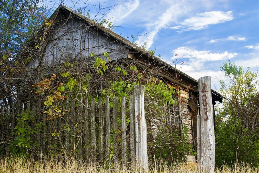 Заброшенный огород