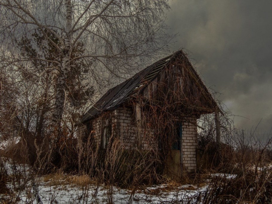 Заброшенный дом в лесу