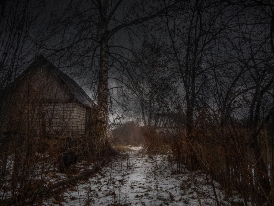 Заброшенный земельный участок