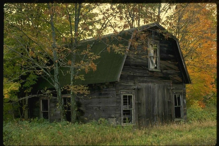 Заброшенный садовый участок