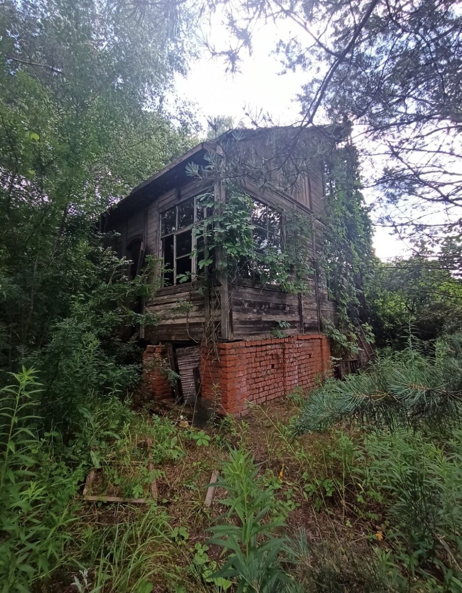 Бесхозный дачный участок