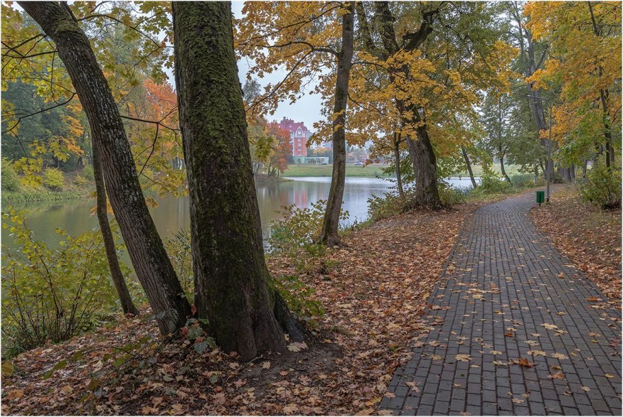 Белкино Обнинск