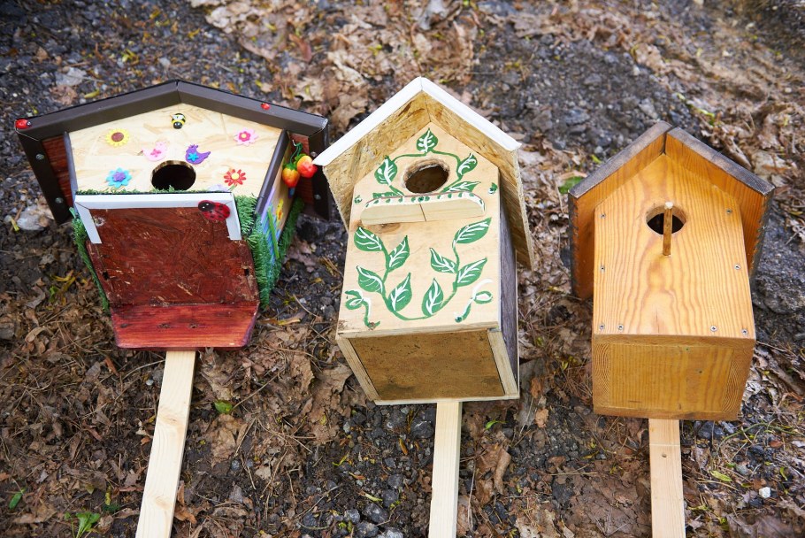 Сосн Весна, Центральная ул., 29