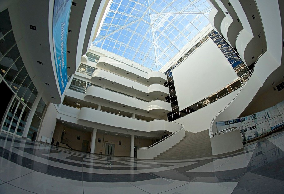 МГСУ Ромашка