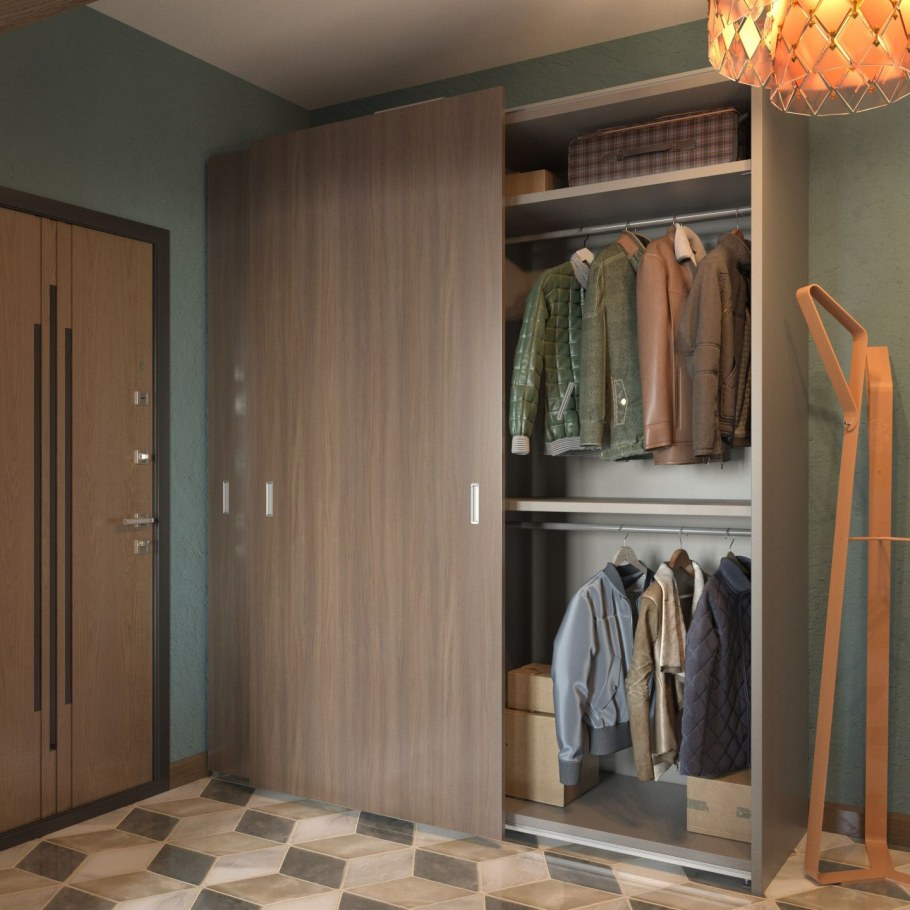 Шкаф в прихожую Мистер Дорс