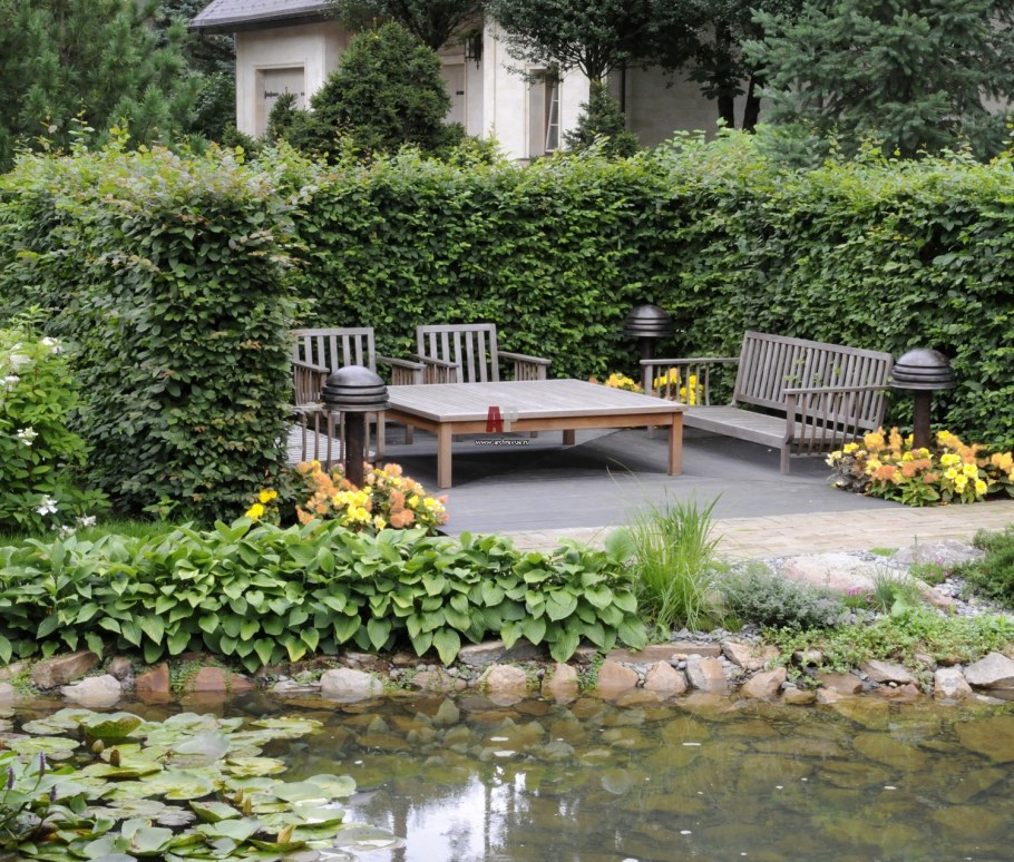 Патио с живой изгородью